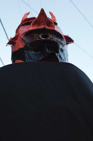 IMG_8726