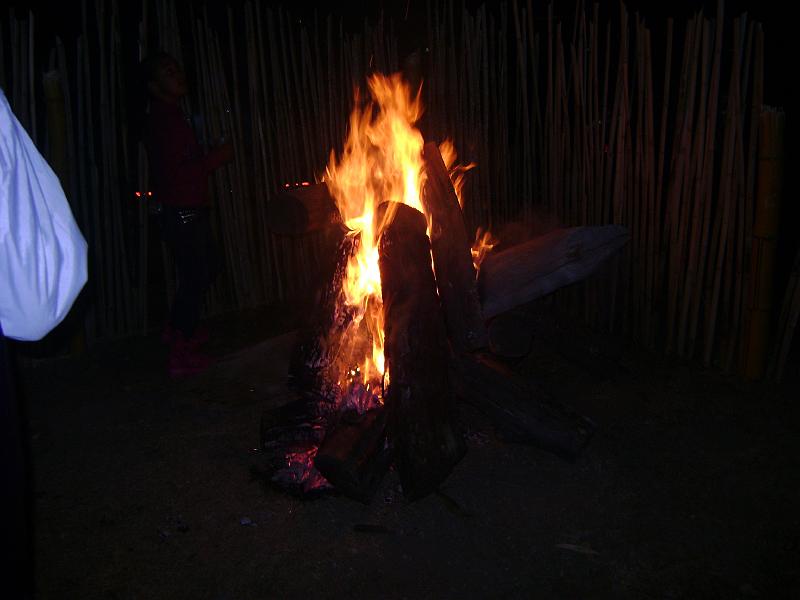 DSC03356