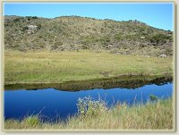 Lagoa Dourada